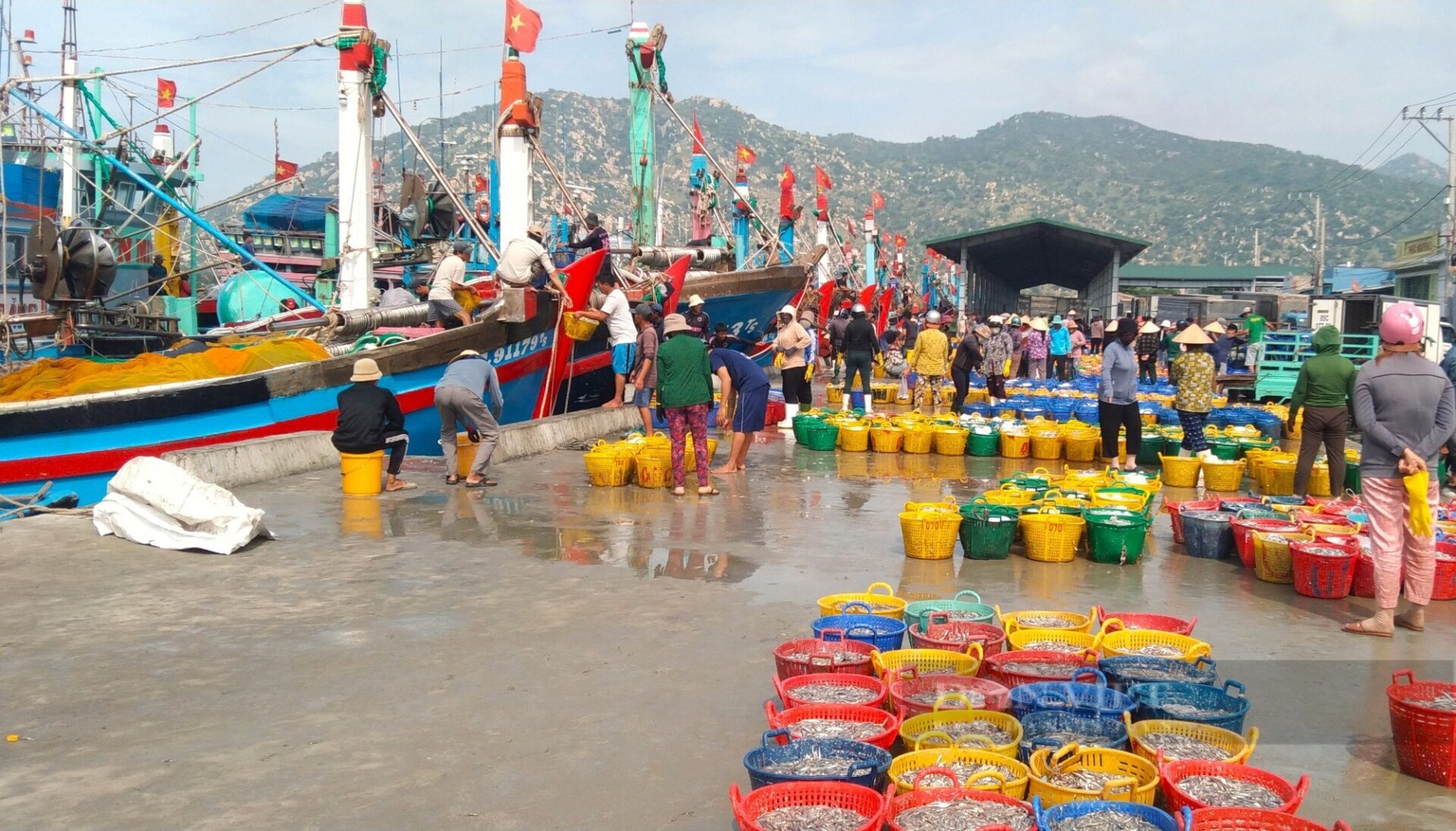 Taxi phan rang đi cà ná Taxi phan rang đi cà ná